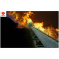 Whole Core Flame Retardant Conveyor Belt (MT914-2008)